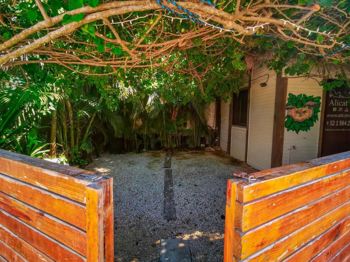 Alicat Villas Tulum Bagian luar foto